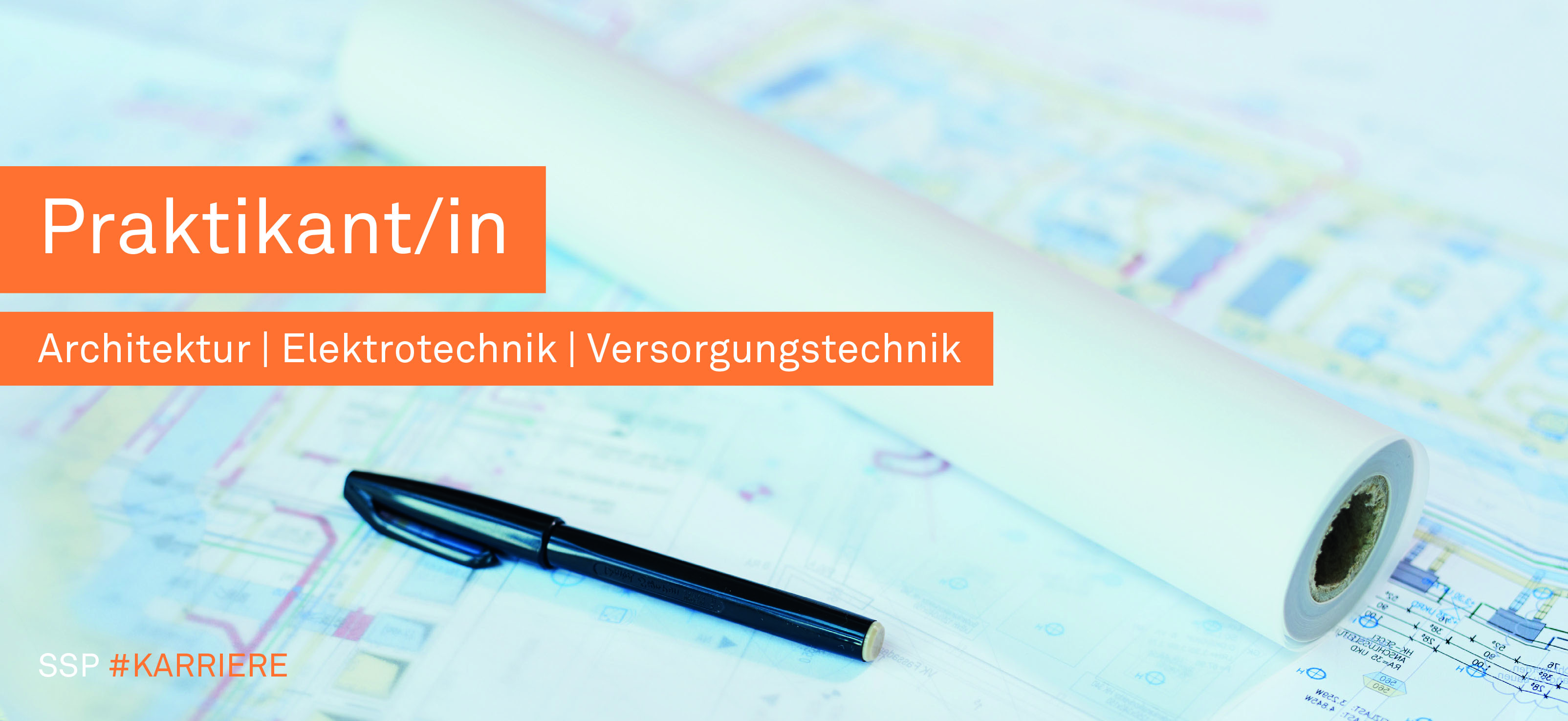 Stellenausschreibung, Praktikant
